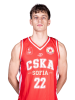 Виктор Гергов